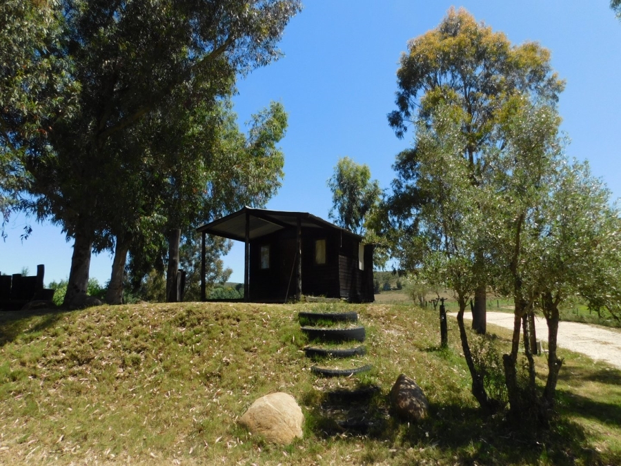 3 Bedroom Property for Sale in Bonnievale Western Cape
